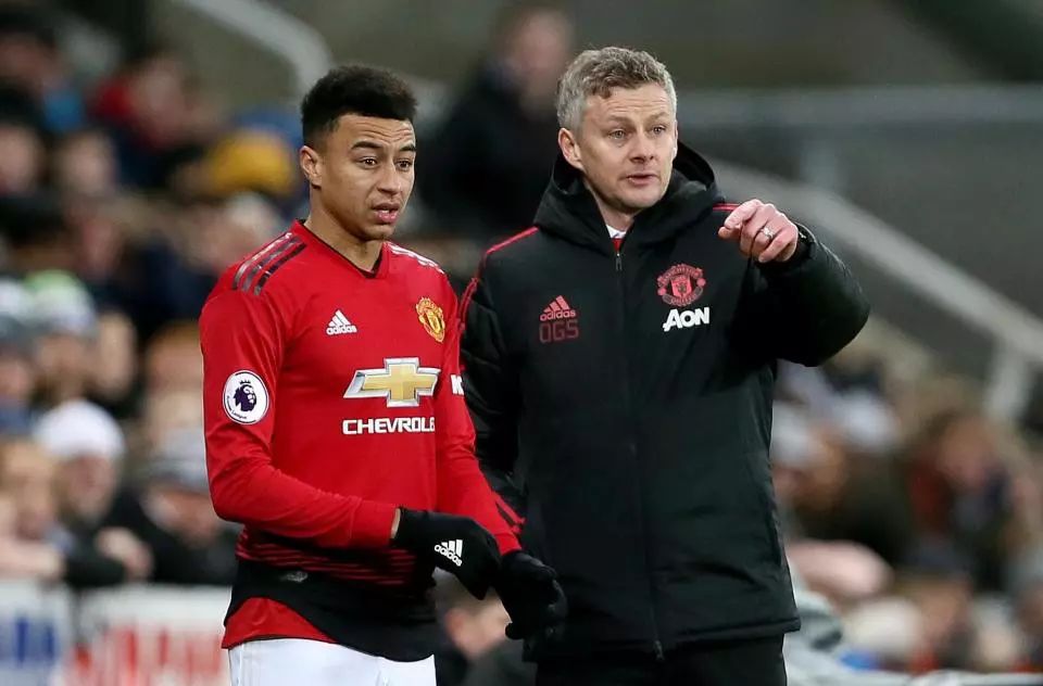 中获得启发 中获得启发